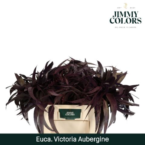 <h4>Victoriablad Gekleurd Klbh. Aubergine</h4>