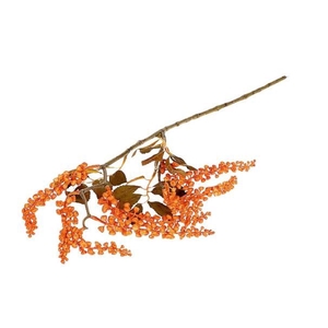 Branch Berry Jungle L72