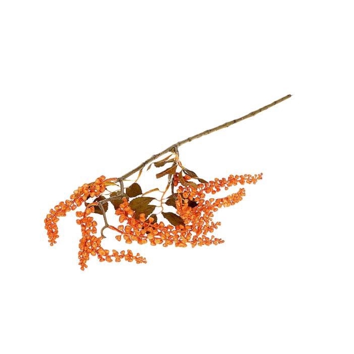 <h4>Branch Berry Jungle L72</h4>