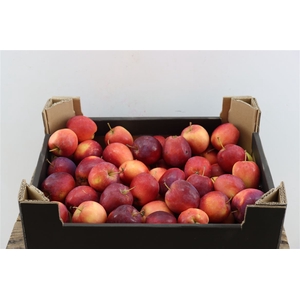 Sier Appels Dark Red 5kg P Wdn Box