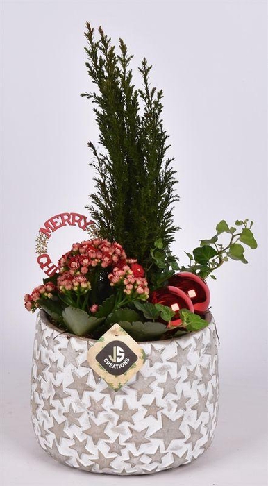 <h4>Cement pot ster 18cm</h4>