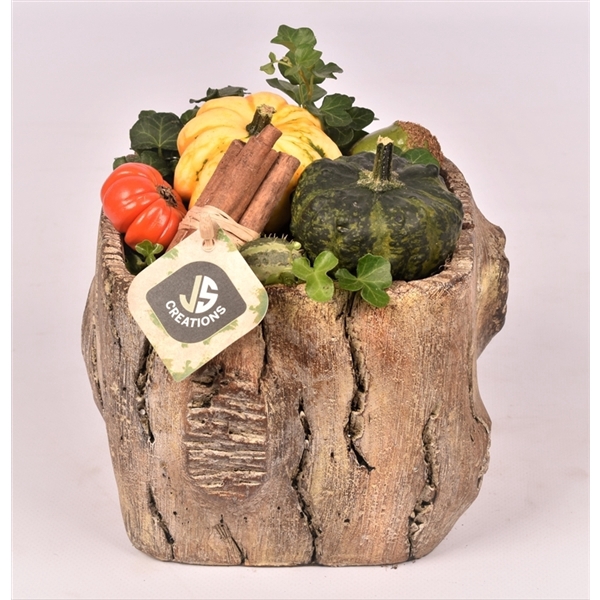 <h4>Arrangementen Sierfruit</h4>