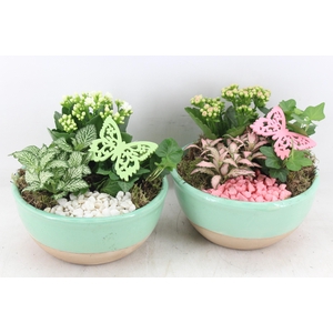 arr2 MB - Ker. bowl l.green 285/5 - roze/wit