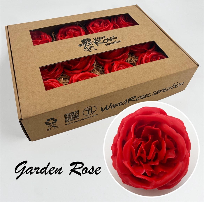 <h4>Zijde R Garden Wx Rood</h4>
