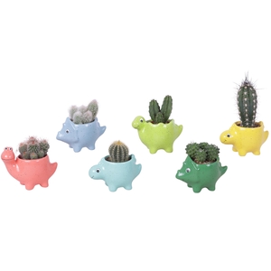 Thank you Teacher Arr. Cactus Ceramic Pot Dinosaur Ø12cm 1PP