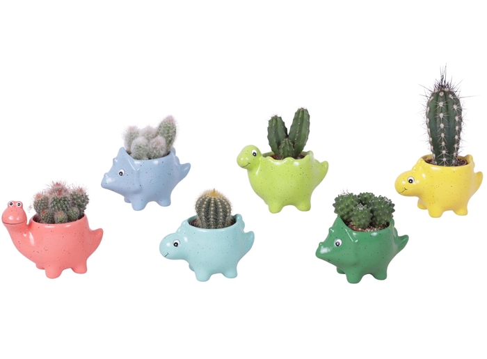<h4>Thank you Teacher Arr. Cactus Ceramic Pot Dinosaur Ø12cm 1PP</h4>