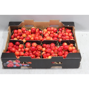 MALUS RED SENTIN BAK