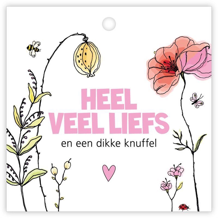 <h4>Kadokaartje'Beetle' à 12 St.Heel ve</h4>