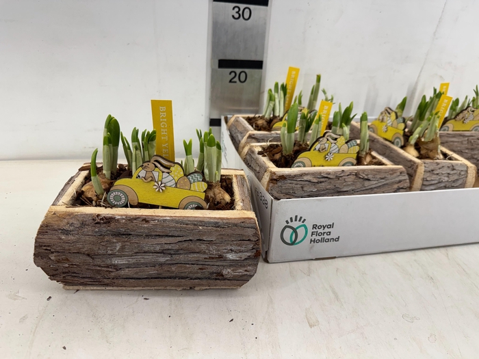 <h4>ARR N TETE A TETE</h4>