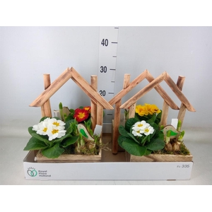 Arr.   Tuinplanten L%