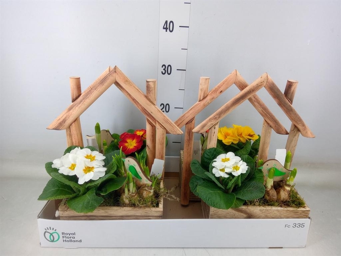 <h4>Arr.   Tuinplanten L%</h4>