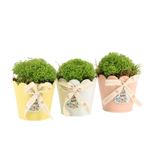 70856: Easter arrangement