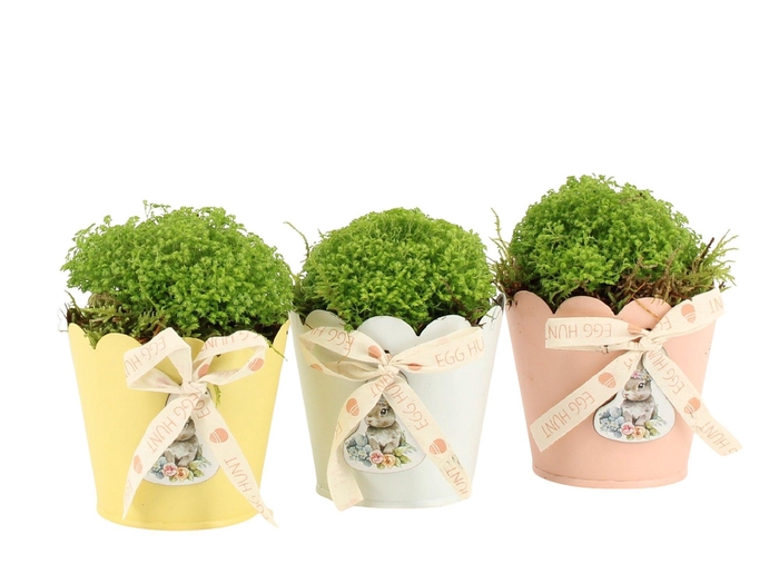 <h4>70856: Easter arrangement</h4>