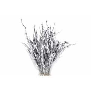 Dried Strelitziablad Silver P Stem