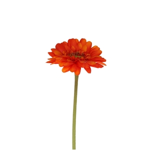 Artificial flowers Gerbera 55cm