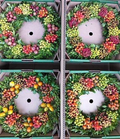 <h4>SIERFRUIT KRANS H%</h4>