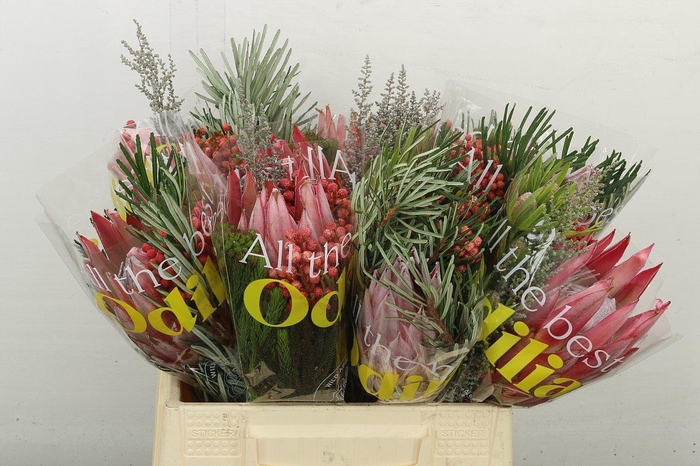Protea Per Bos