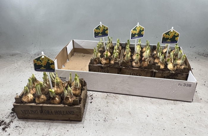 <h4>ARR N TETE A TETE</h4>