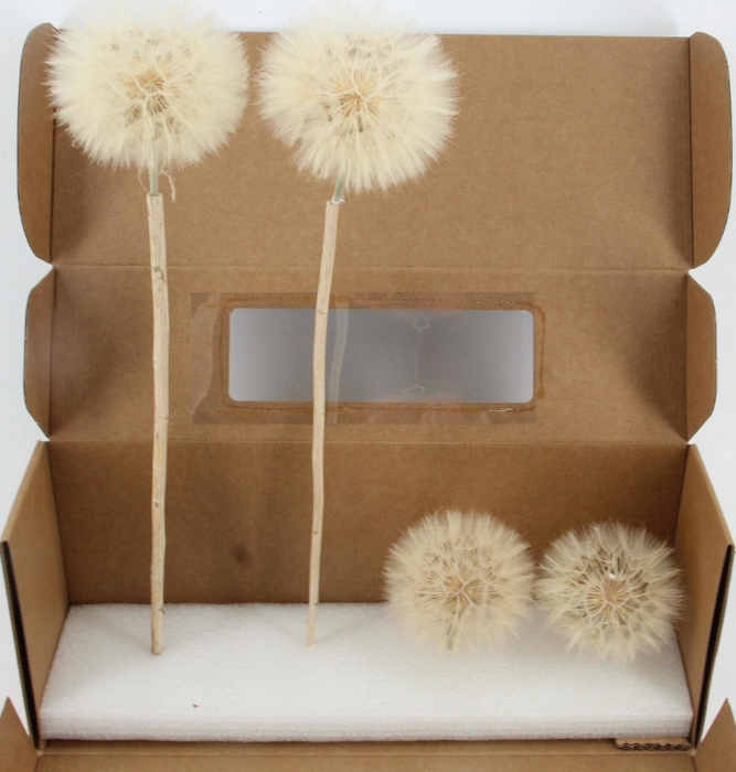 <h4>DROOGBL BEWERKT H%</h4>