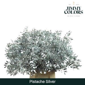 Pistache L40 Metallic silver + glitter