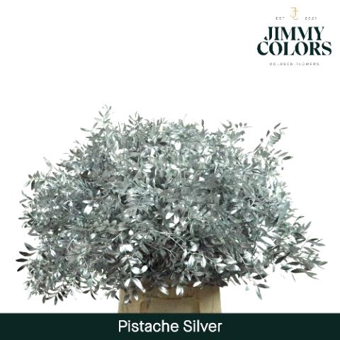 <h4>Pistache L45 Metallic Silver + Glitter</h4>