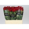 Rosa Gr Red Ribbon
