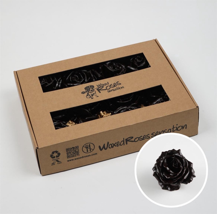 <h4>Zijde R Wx Choccola</h4>