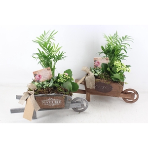 arr2 TD - Houten kruiwagen - wit/roze