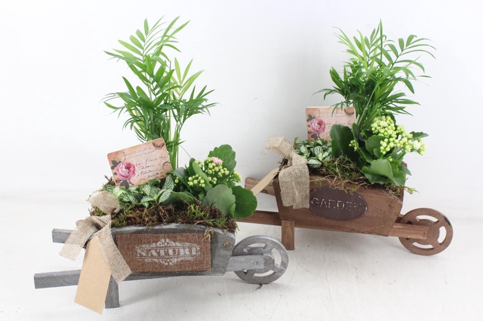 <h4>arr2 TD - Houten kruiwagen - wit/roze</h4>