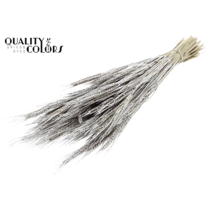 Triticale per bunch Platina + Glitter