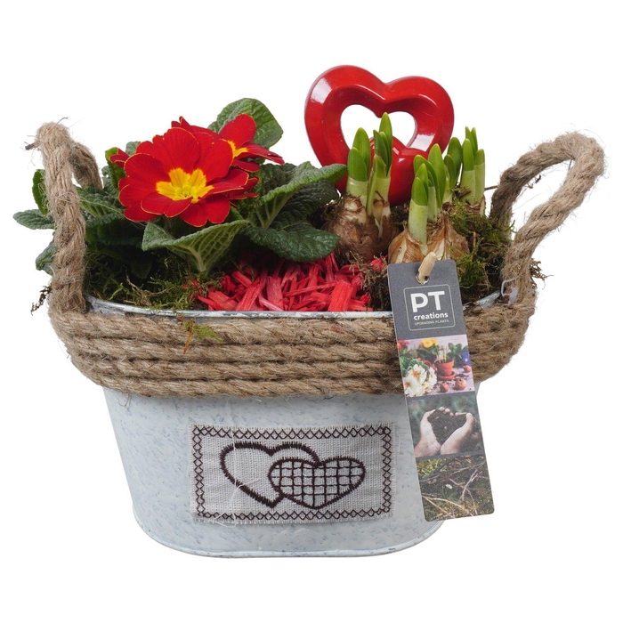 <h4>PTVO3601 Arrangement Valentine Outdoor in metalen pot</h4>