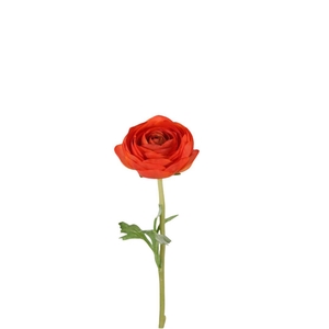 Ranunculus 35cm