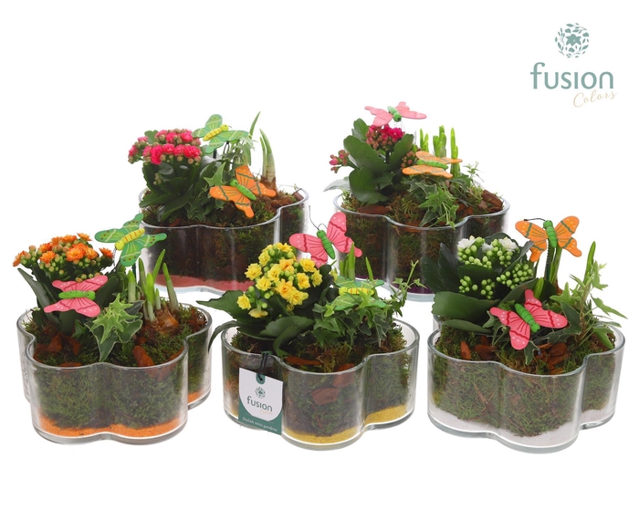 <h4>Glazen Bloemschaalmet Voorjaar arrangement</h4>