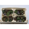 Autumn Nut Mix Wooden Crate