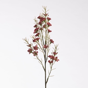 AF Wax Flower L69cm Red