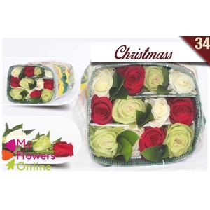 R Gr Rainbow Christemas 40cm EC