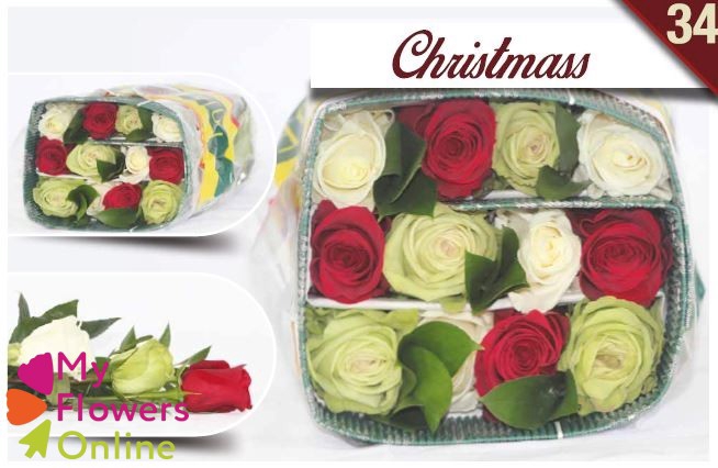 R Gr Rainbow Christemas 40cm EC
