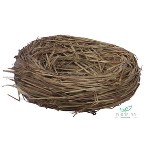 NESTS LOOSE NATURAL D11X5,5 3PCS