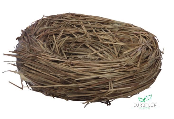 NESTS LOOSE NATURAL D11X5,5 3PCS
