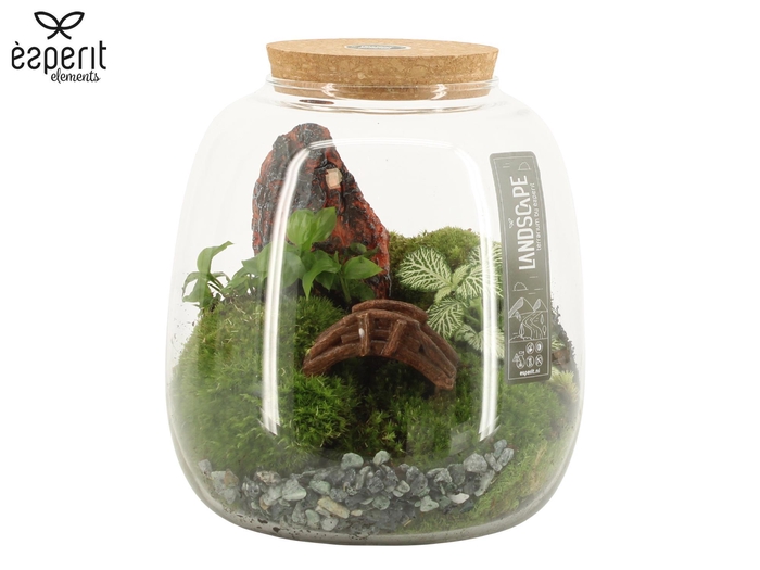 <h4>90774: Landscape terrarium Large Belly Jar D19 / H20</h4>