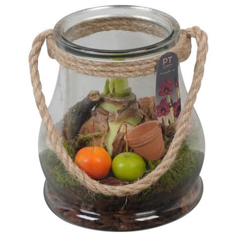 <h4>PTAA8805 Arrangement Amaryllis in glazen vaas</h4>