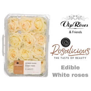 ZS R EDIBLE ROSALICIOUS WHITE