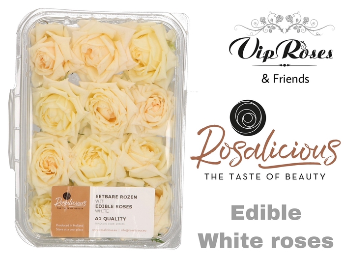 ZS R EDIBLE ROSALICIOUS WHITE
