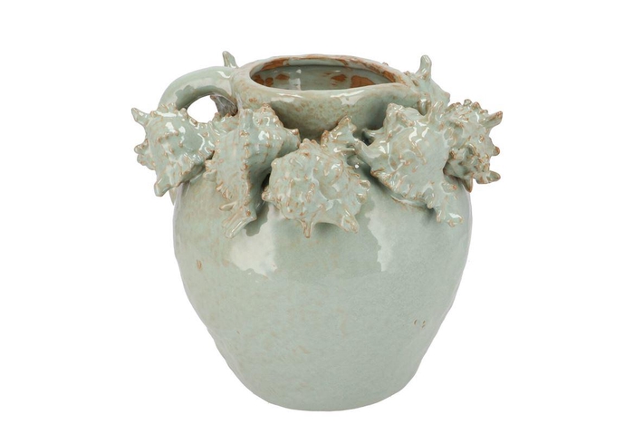 <h4>Shella Light Green Vase Shell 29x29x24cm</h4>