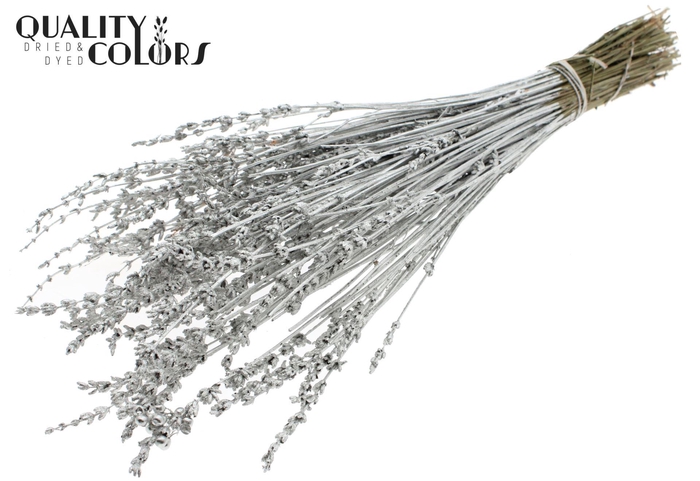 <h4>Droogbloemen   ...bewerkt H%</h4>