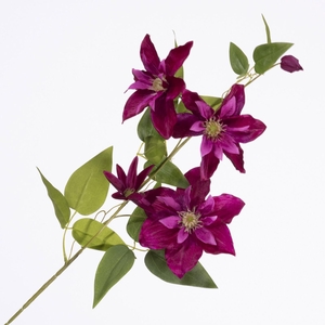 Clematis Spray Burgundy FL440354BUR