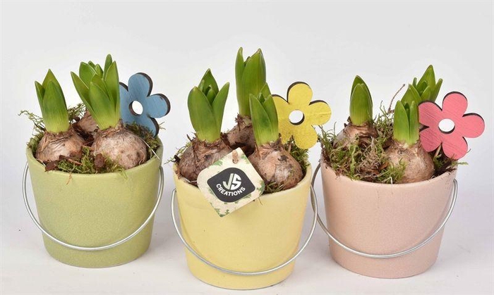 <h4>Keramiek pot met hengsel kl.mix 12cm</h4>