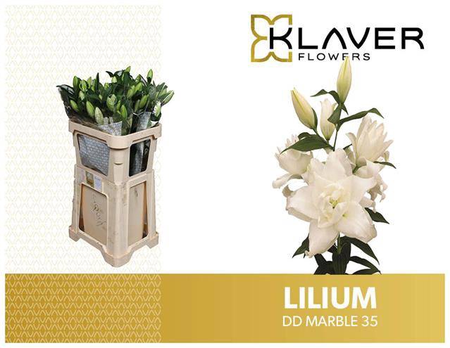 <h4>LI OR DU OVERIG</h4>