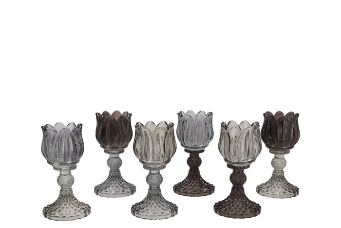 <h4>Bicolore Black Bloom T-light Ass 8x15cm Nm</h4>