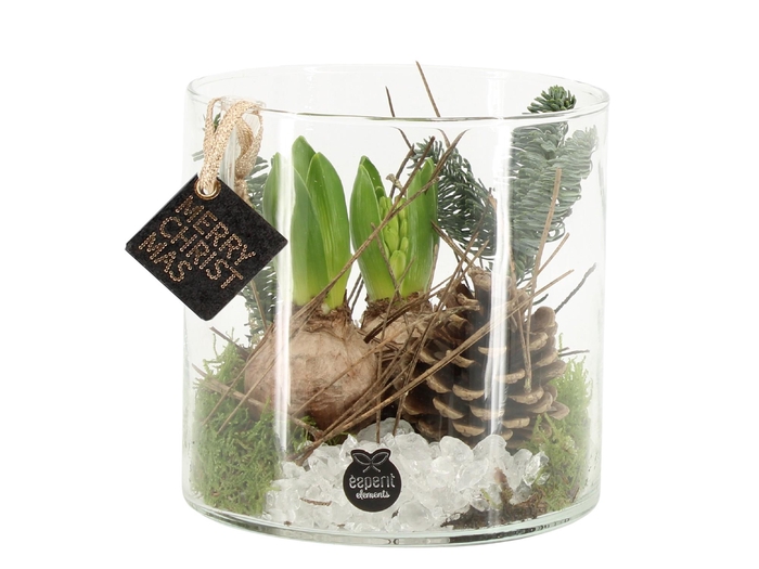 <h4>61704: X-mas arrangement</h4>